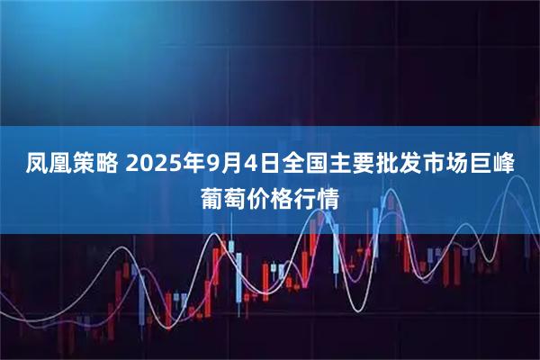 凤凰策略 2025年9月4日全国主要批发市场巨峰葡萄价格行情