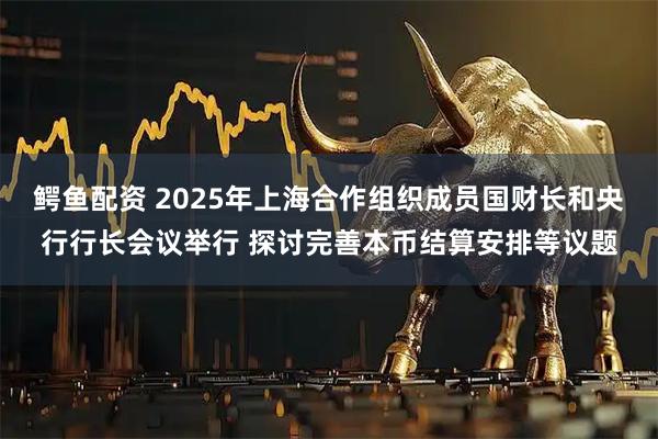 鳄鱼配资 2025年上海合作组织成员国财长和央行行长会议举行 探讨完善本币结算安排等议题