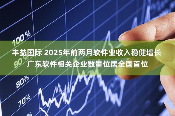 丰益国际 2025年前两月软件业收入稳健增长 广东软件相关企业数量位居全国首位