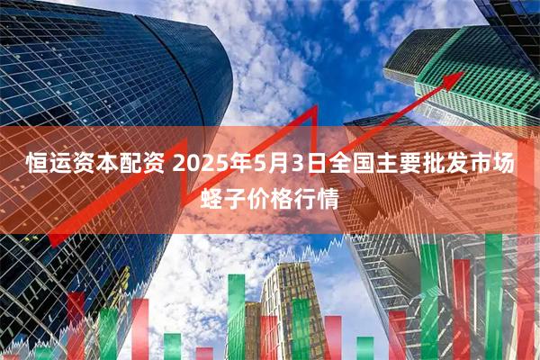 恒运资本配资 2025年5月3日全国主要批发市场蛏子价格行情