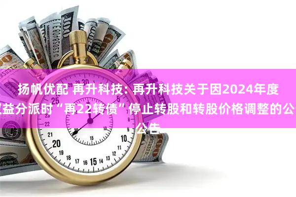 扬帆优配 再升科技: 再升科技关于因2024年度权益分派时“再22转债”停止转股和转股价格调整的公告
