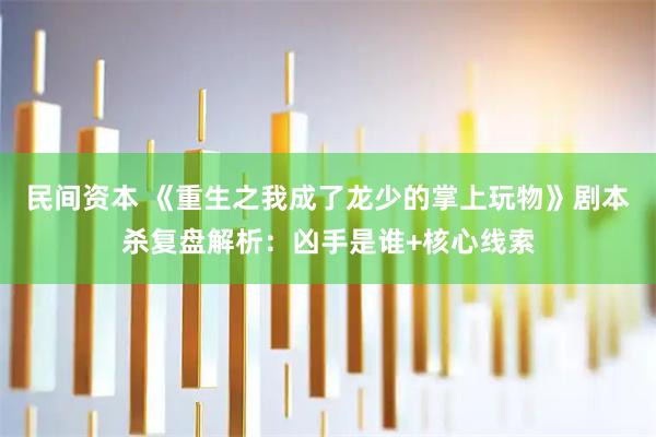 民间资本 《重生之我成了龙少的掌上玩物》剧本杀复盘解析：凶手是谁+核心线索